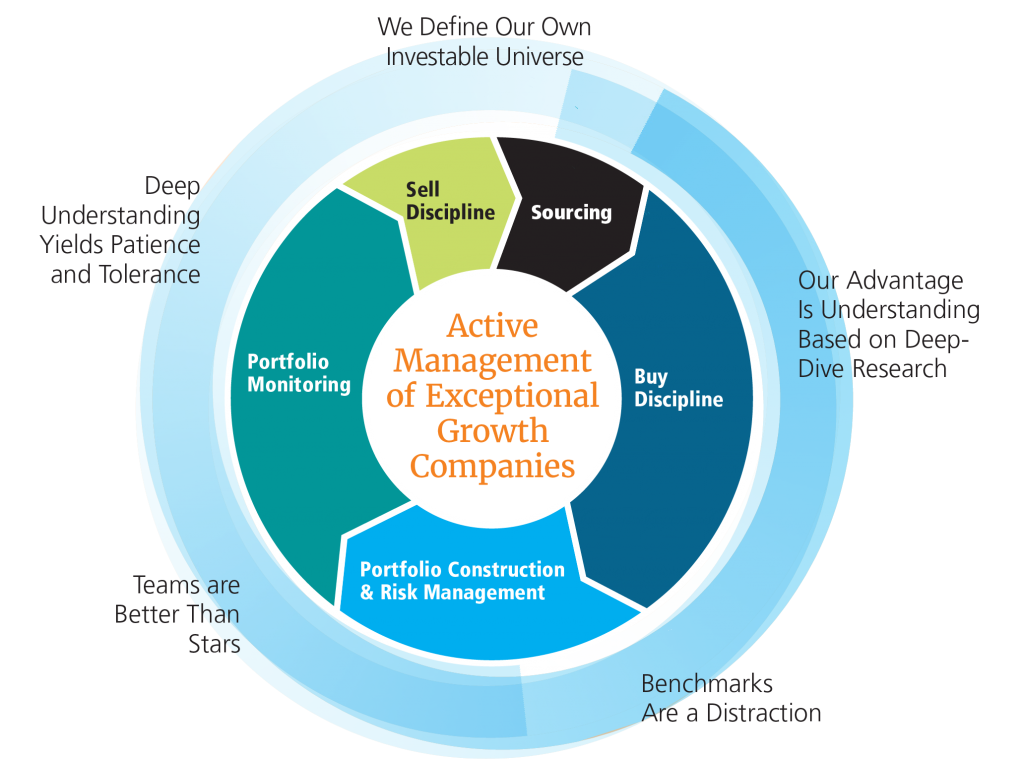 Diagram about active management of exepctional growth companies